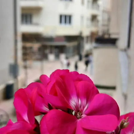 Dinerdowntown In Vaci Street With Free Garage *