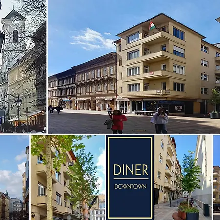 Dinerdowntown In Vaci Street With Free Garage *