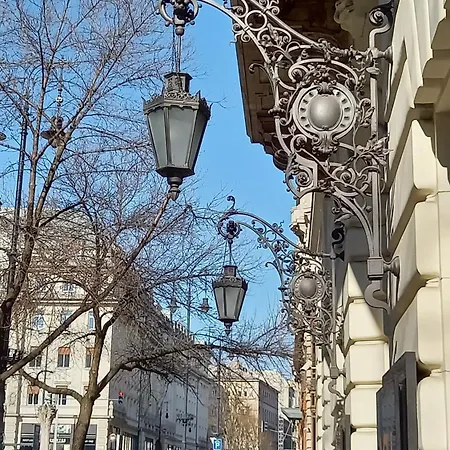 Apartment Dinerdowntown In Vaci Street With Free Garage