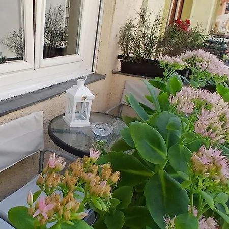 Dinerdowntown In Vaci Street With Free Garage Apartament Budapeszt
