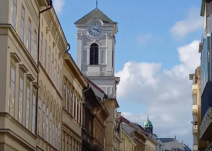 Dinerdowntown In Vaci Street With Free Garage *