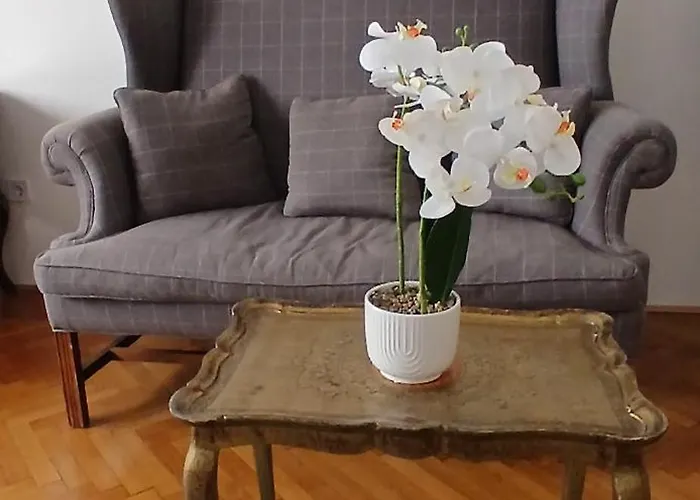 Dinerdowntown In Vaci Street With Free Garage Apartment *