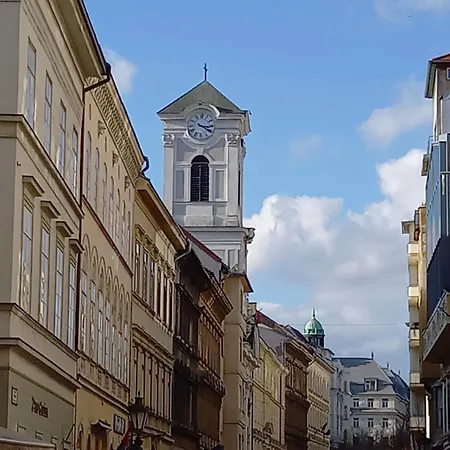 Dinerdowntown In Vaci Street With Free Garage *