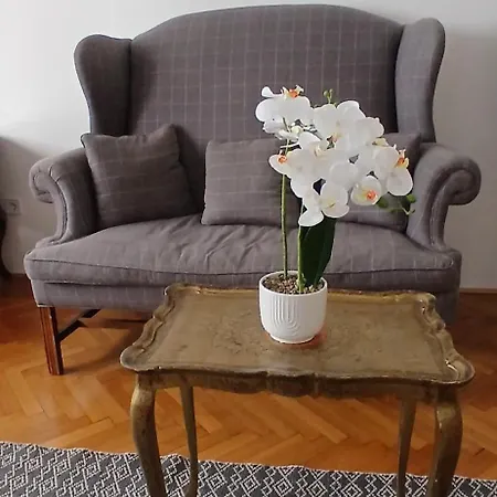 Dinerdowntown In Vaci Street With Free Garage 아파트 *