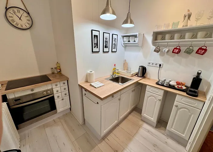 Dinerdowntown In Vaci Street With Free Garage Apartament